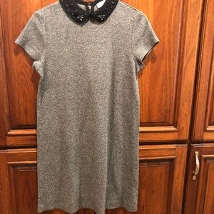 Loft Dress with Collar Detail